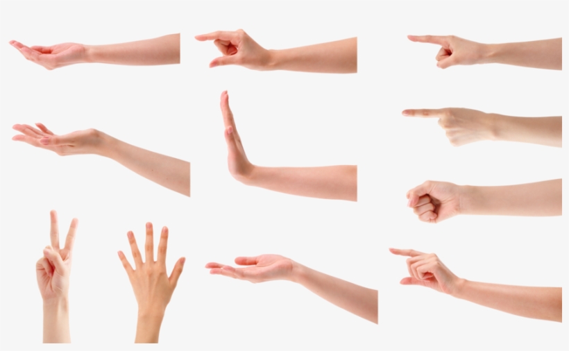 The Thinking Child Shed - Hand, transparent png download