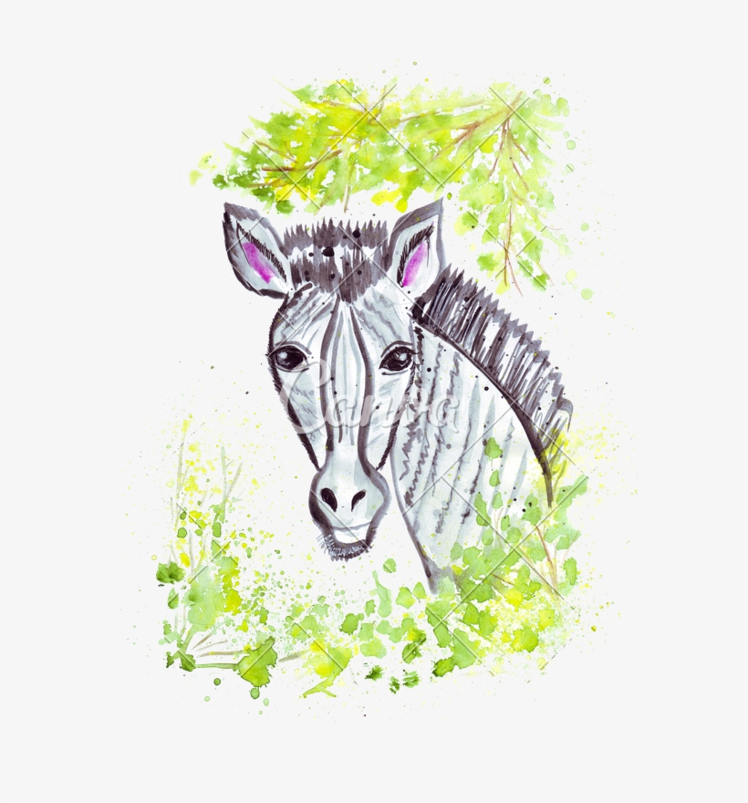 Graphic Stock Hand A Of Zebra Photos By Canva - Clip Art, transparent png download