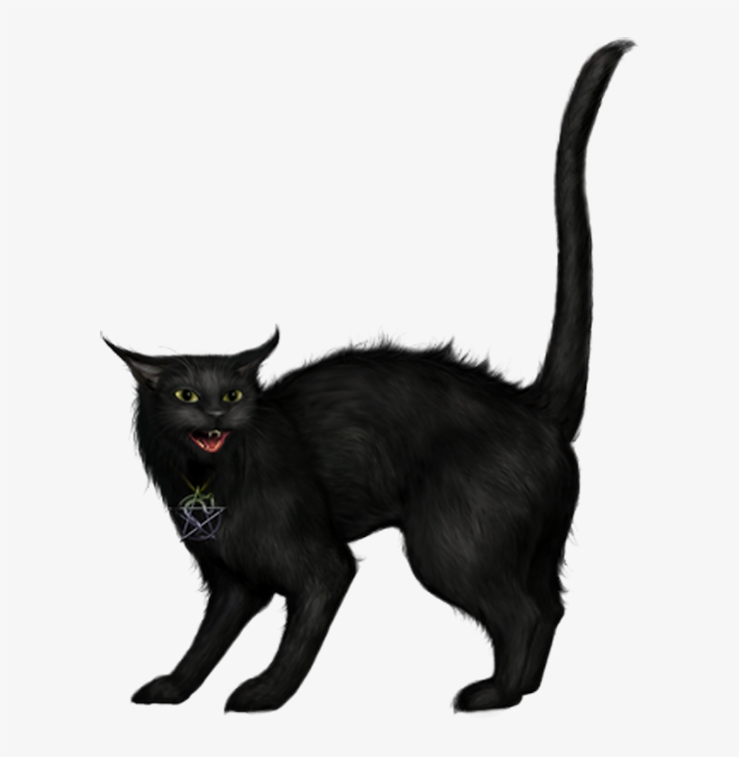 Halloween Cat Png, transparent png download