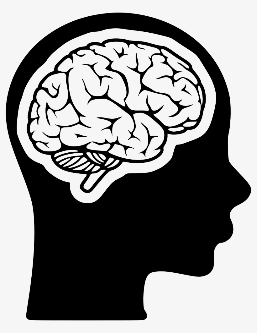 Brain Comments - Brain, transparent png download