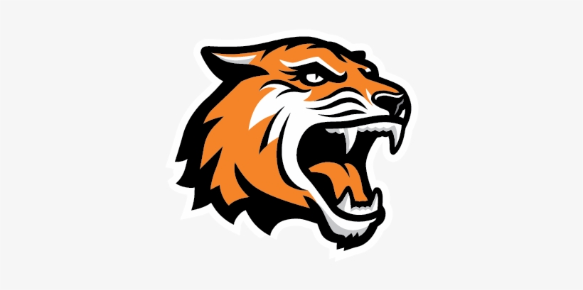 tiger head png png tiger face transparent png 379x328 free download on nicepng tiger head png png tiger face