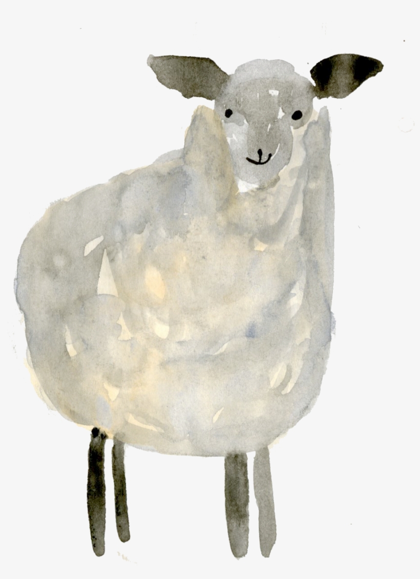 My Process Included Sketching The Illustration Out - Sheep, transparent png download