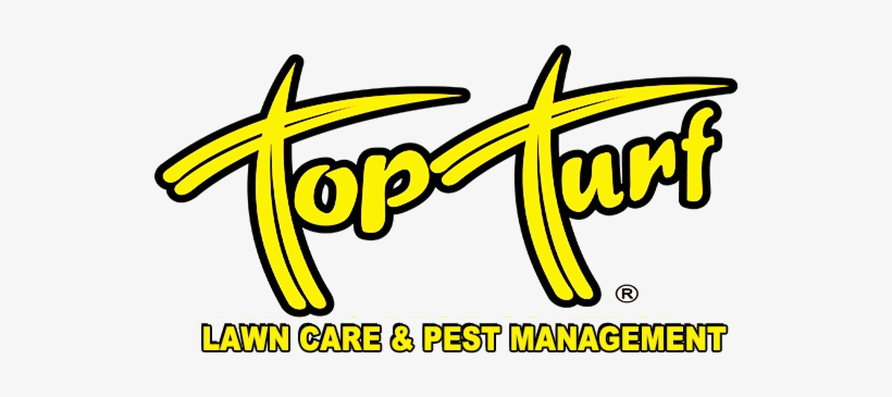Top Turf Logo - Aircraft, transparent png download