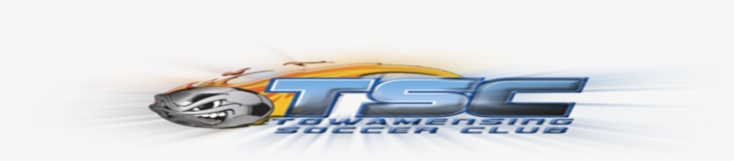 Cropped Rad New Tsc Logo Light Burst Stretched - Graphics, transparent png download