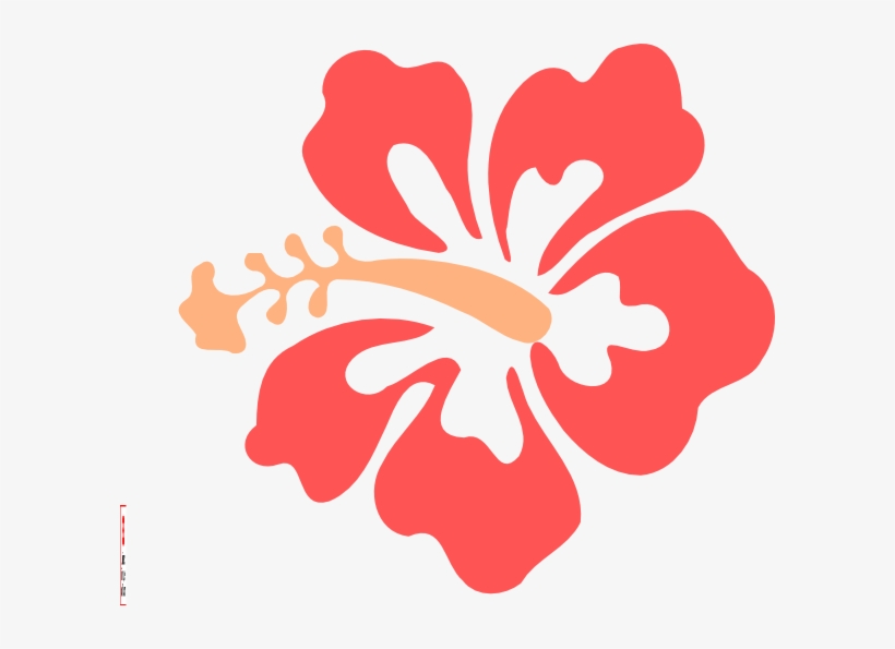 How To Set Use Coral Hibiscus Clipart, transparent png download