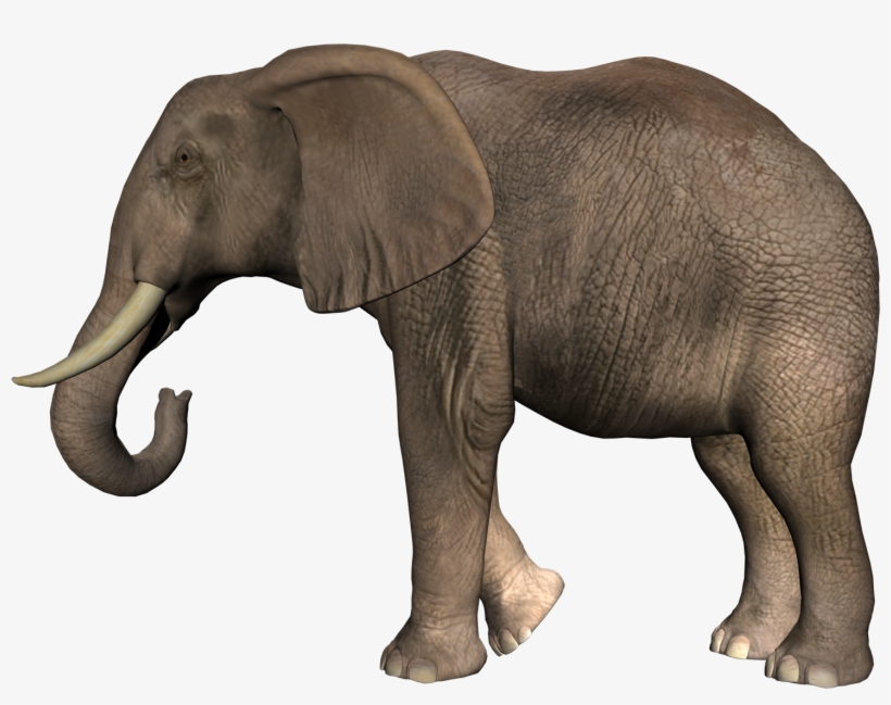 Слон Клипарт, transparent png download