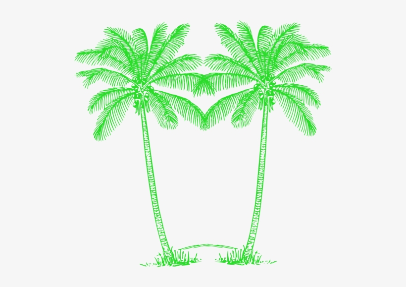 Palm Tree Clipart Double - Green Palm Tree Png, transparent png download