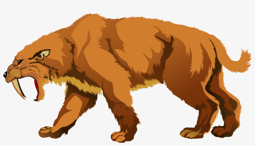 Tiger Clipart Real - Saber Toothed Cat Clipart, transparent png download