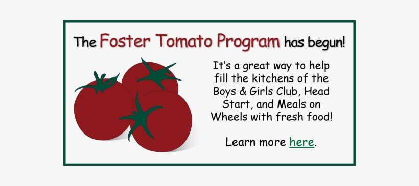 Foster-tomato - Diving, transparent png download