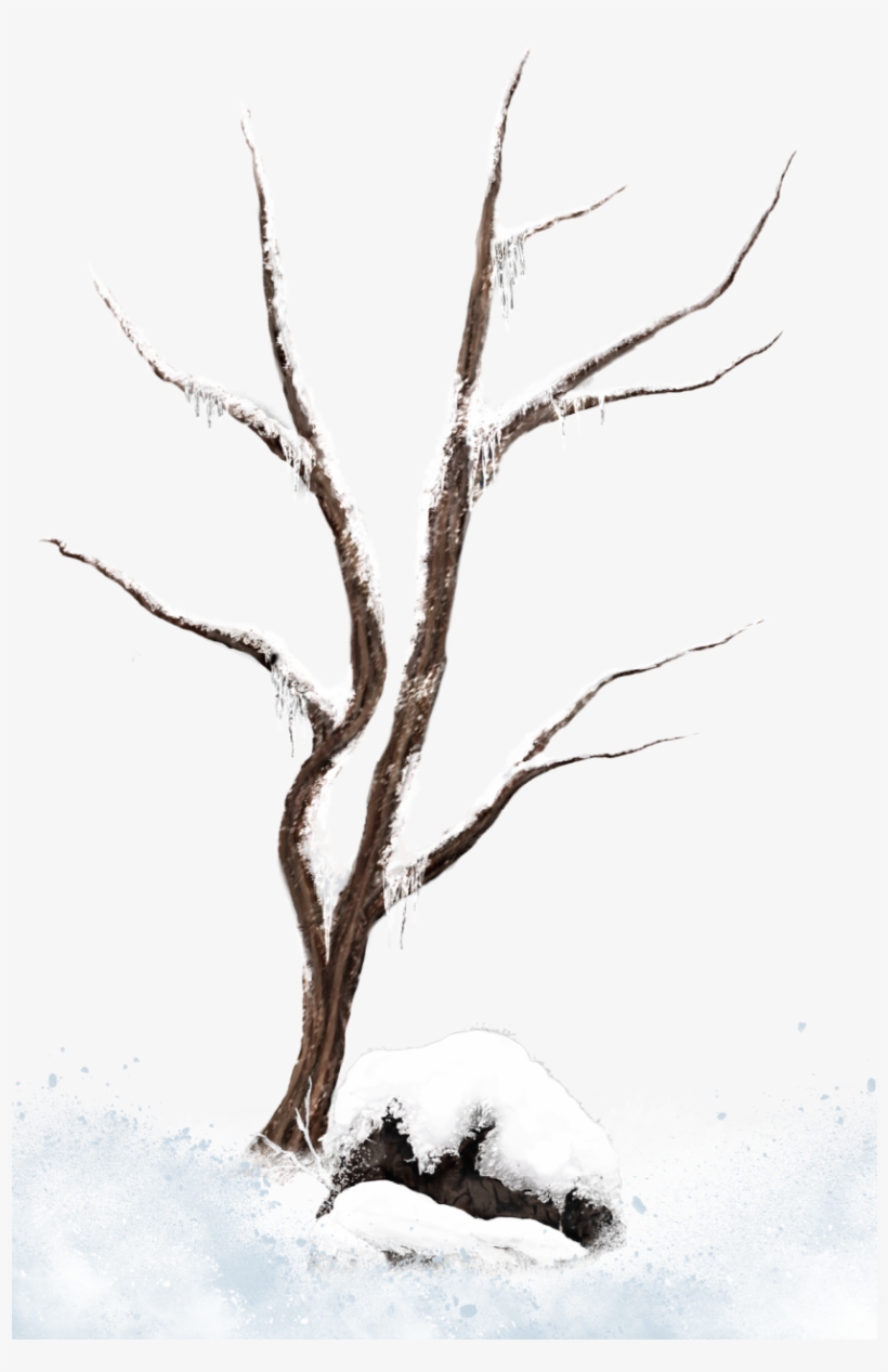 Snowy Branch Drawing, transparent png download
