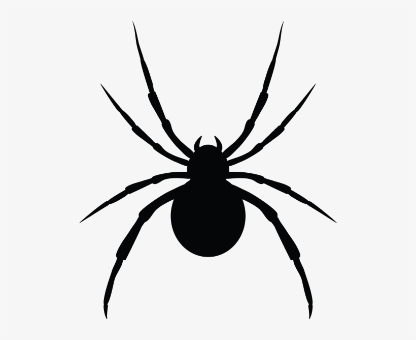 Spiders In Minnesota Homes And Offices - Pickens Pest Control, transparent png download