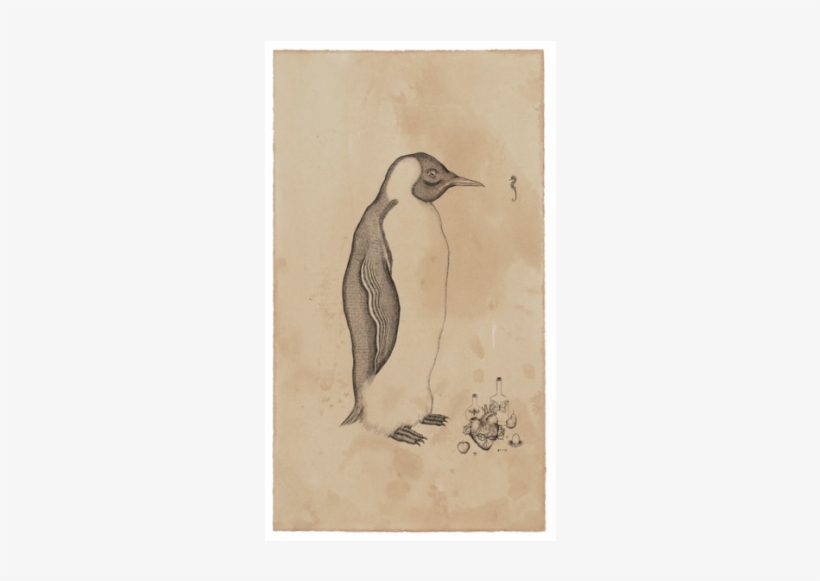 Emperor Penguin, transparent png download