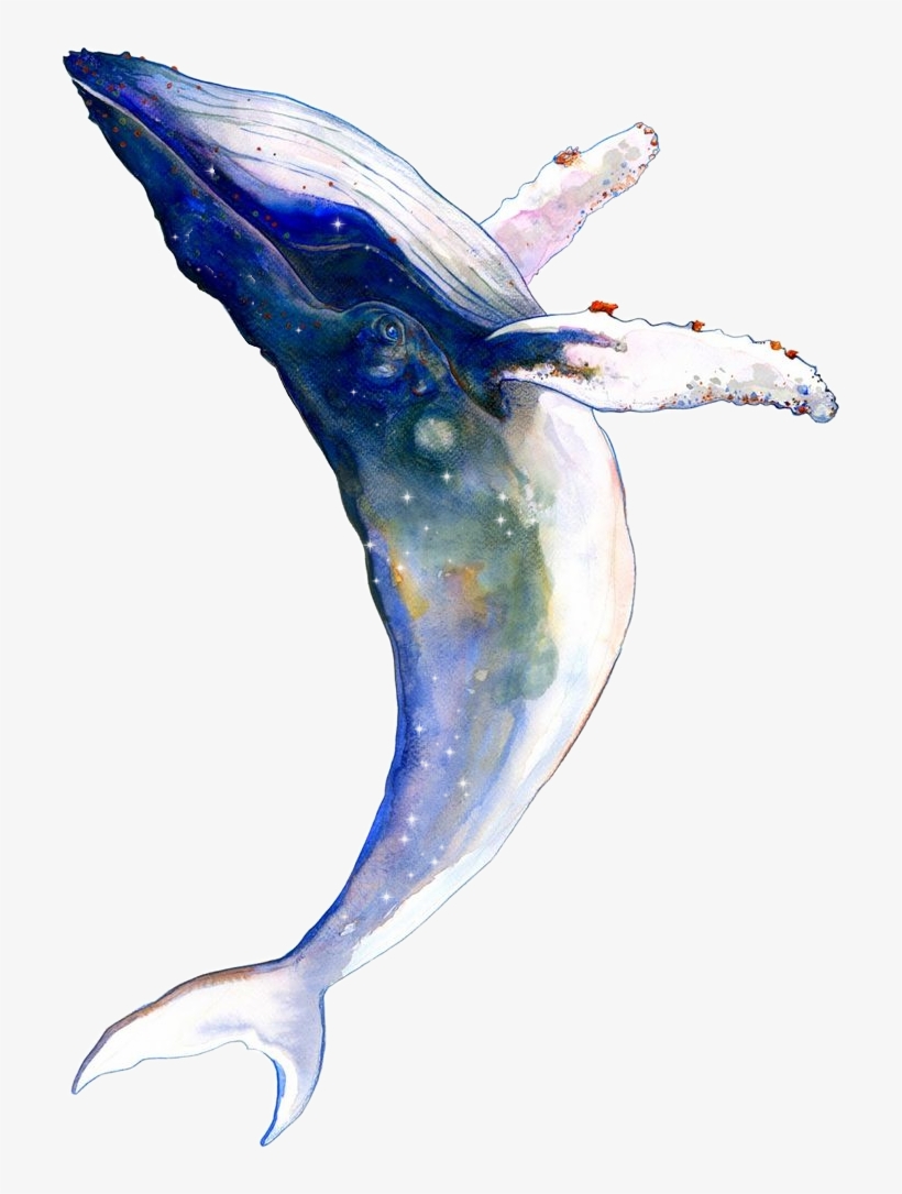 Report Abuse - Wyuen 5 Sheets Whale Fake Tattoo Waterproof Temporary, transparent png download