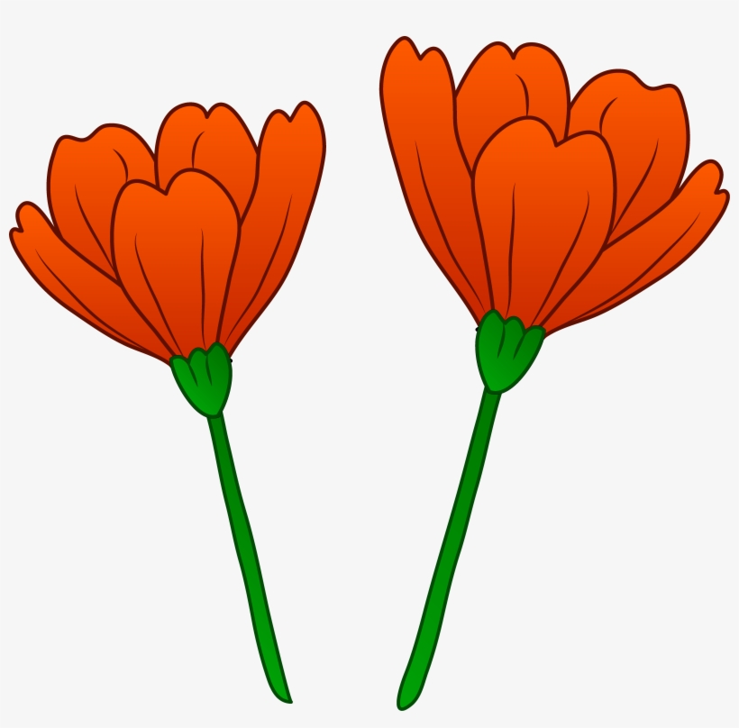 Clip - California Poppy Clipart, transparent png download