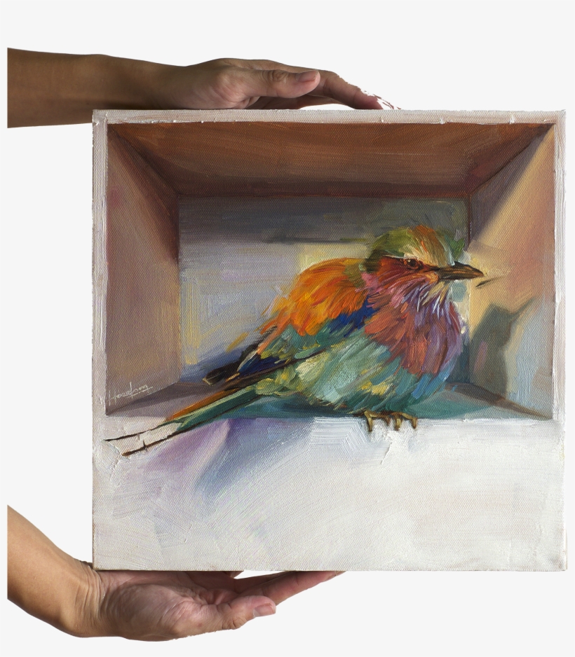 Lilac Breasted Roller In A Box - Macaw, transparent png download