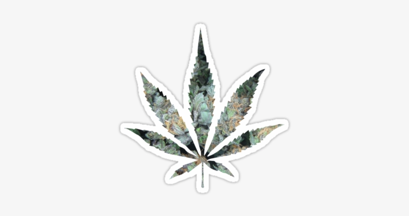 Pot Leaf By Mstark - Ganja, transparent png download