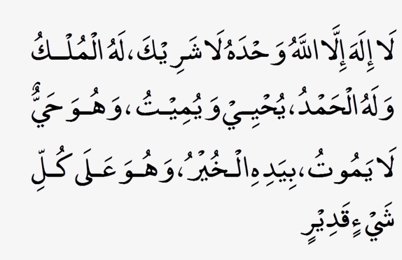 D20 - Fushilat 44, transparent png download