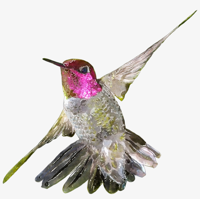 Banner Birb Drawing Watercolor, transparent png download