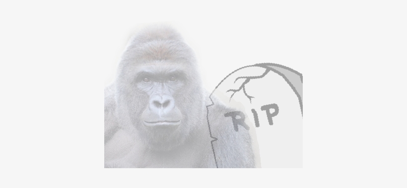 Support This Campaign By Adding To Your Profile Picture - Harambe The Gorilla Mask By Rapmasks - 12" X 9" Waterproof, transparent png download