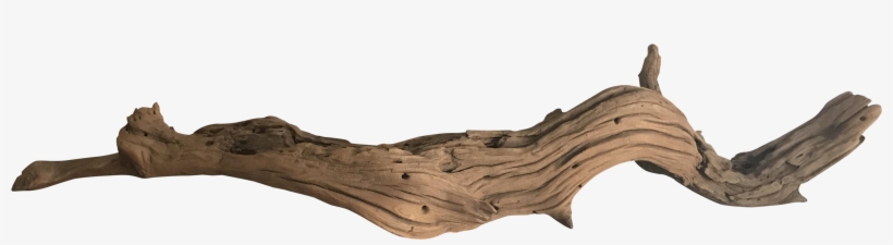 Koyal California Chairish Clipart Royalty Free Download - Driftwood Png, transparent png download
