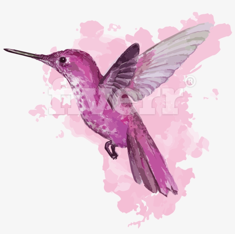 Hummingbird Watercolor Illustration, transparent png download