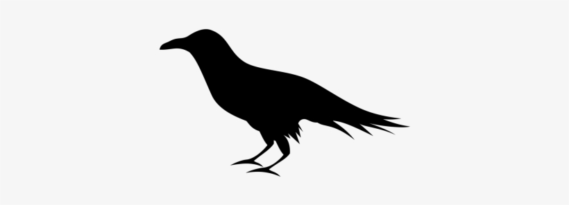 Download Free Png Transparent Image And Hd - Raven Clipart, transparent png download