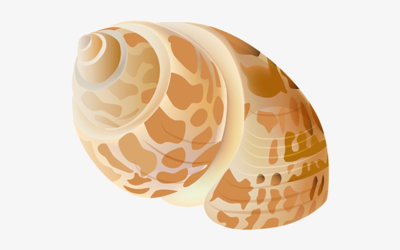 Cut Image, Under The Sea Decorations, Printable, Brother - Seashell Png, transparent png download