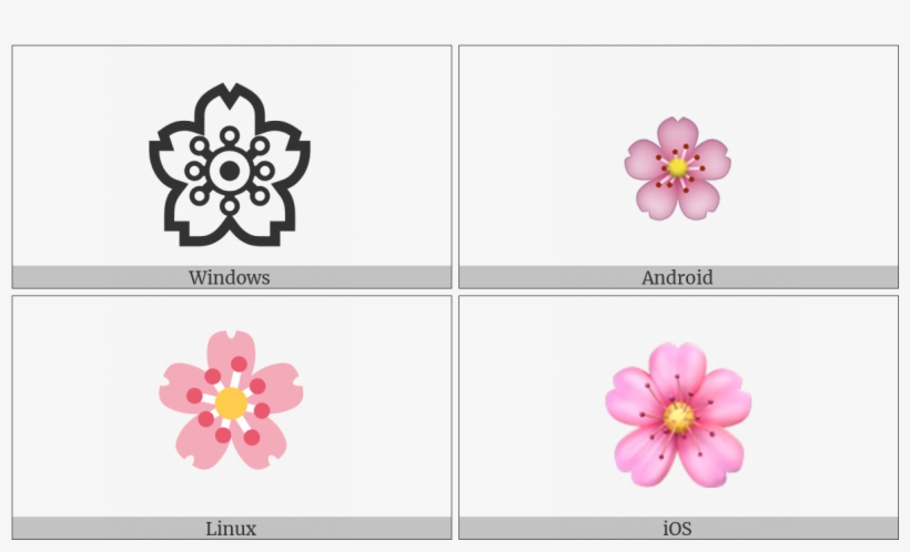 Cherry Blossom On Various Operating Systems - Primula, transparent png download