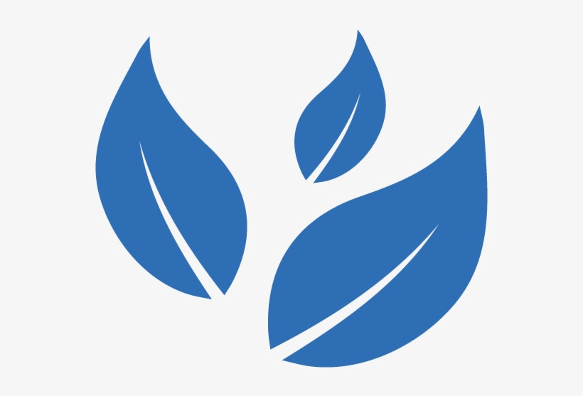 Leaves3 - Portable Network Graphics, transparent png download