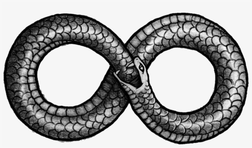 Ouroboros Png Picture - Figure Of 8 Snake, transparent png download