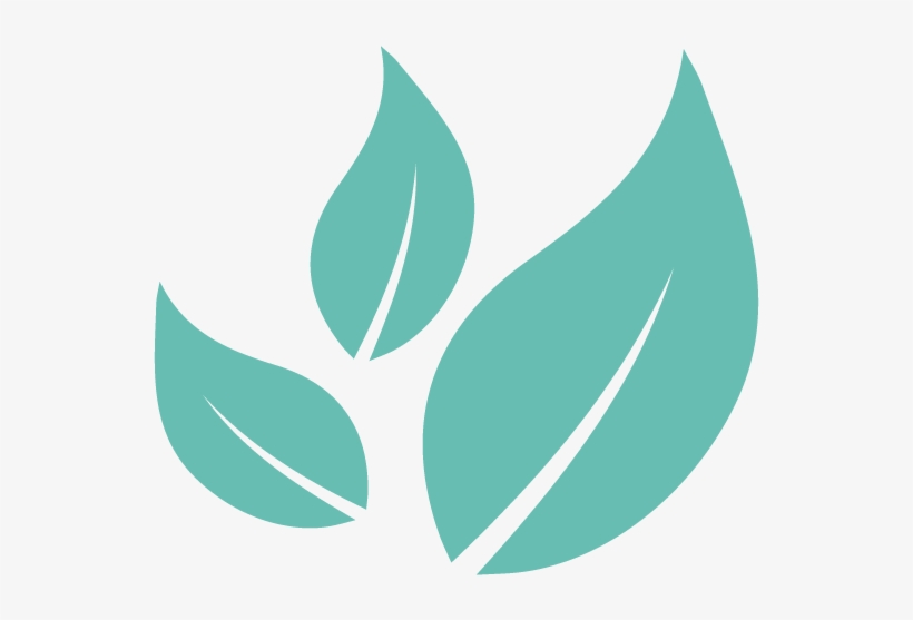 Leaves2 - Portable Network Graphics, transparent png download