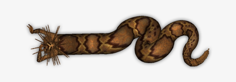 Naga Dig-6 - Lyre Snake, transparent png download
