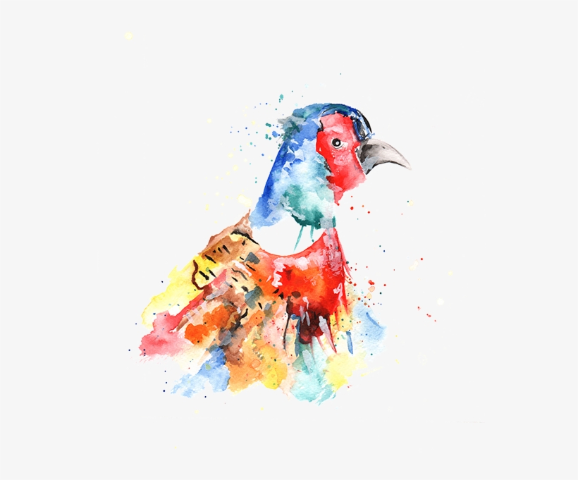 Watercolor Paint, transparent png download