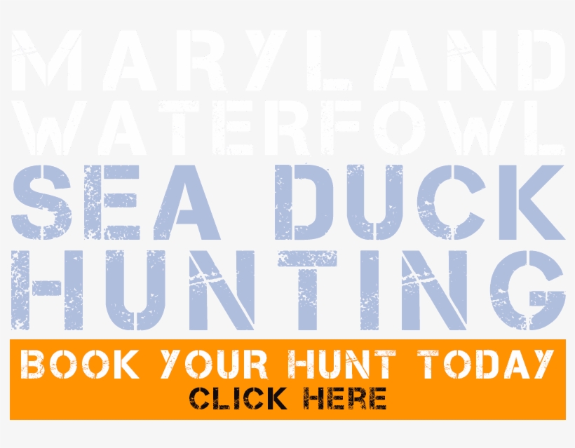 Book Your Hunt - Motor Ombudsman Logo Png, transparent png download