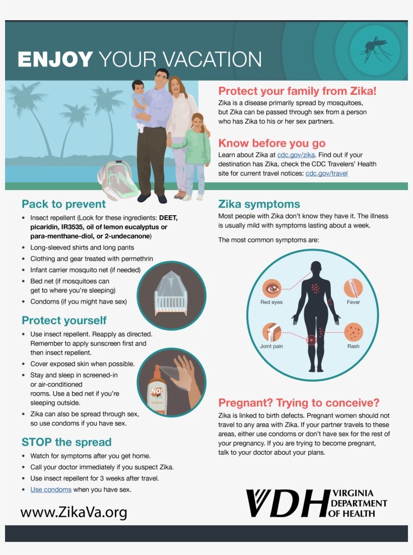 2017 Spring Break Zika Awareness Toolkit - Bed Bug Infographic Cdc, transparent png download