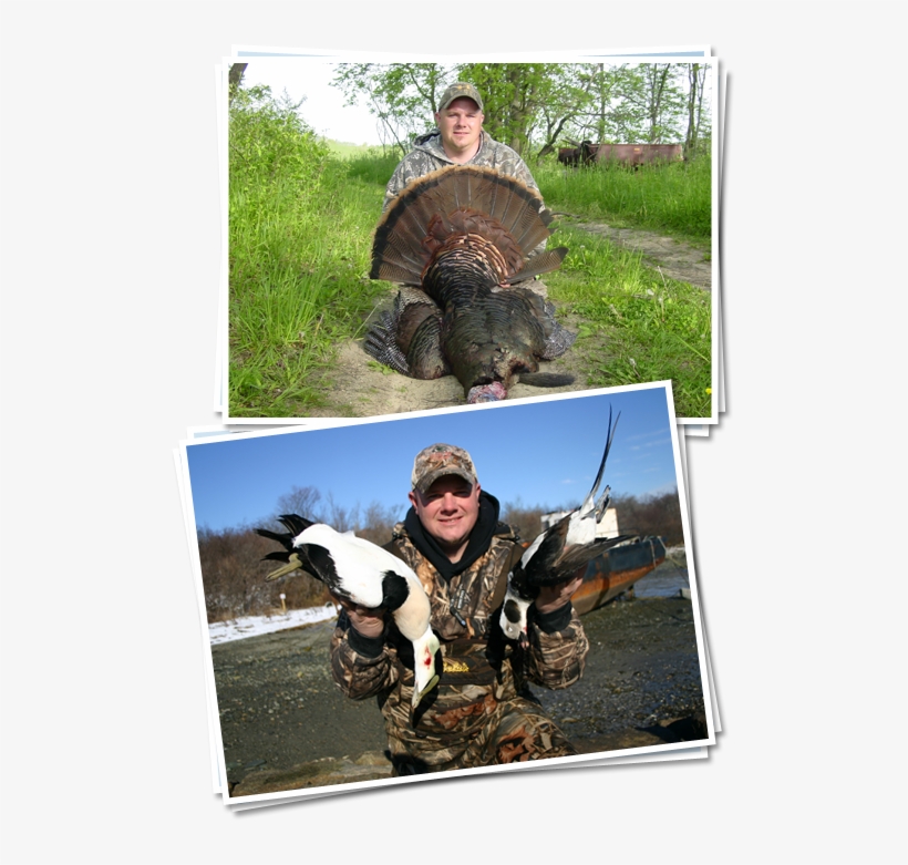Pro Staff Duck Calls - Goose, transparent png download