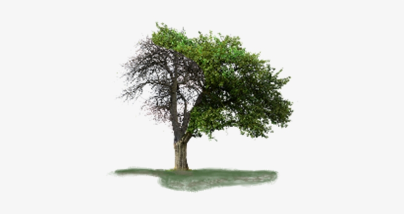 Overcome The Penalties Of Love, transparent png download