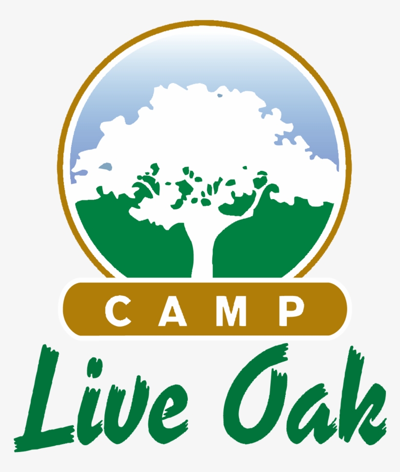 Amazing Outdoor Summer Camp Located In Fort Lauderdale - Plastic Bottle, transparent png download