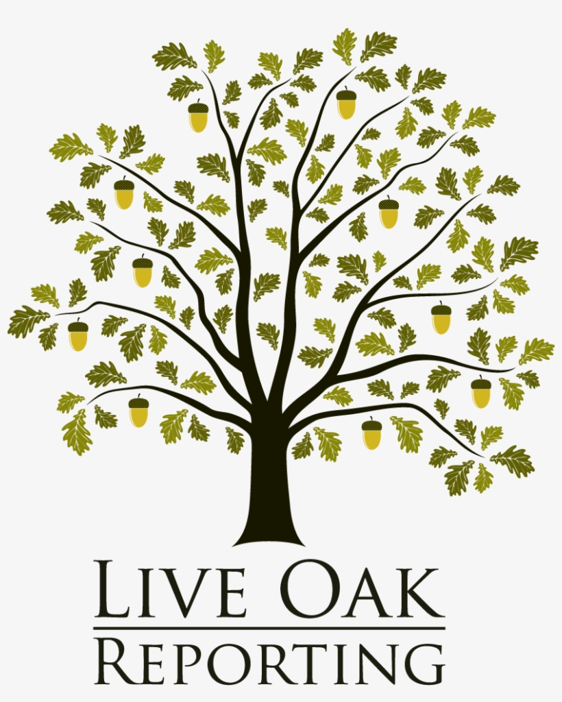 Acorn Tree Clip Art, transparent png download