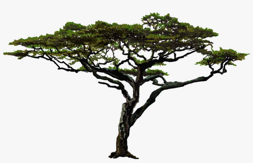 Fullscreen - Serengeti, transparent png download