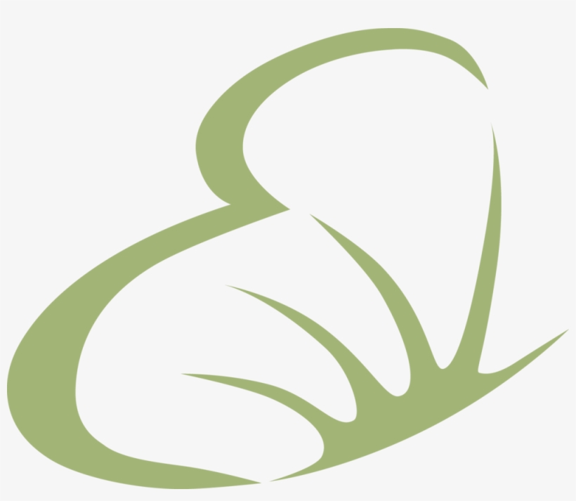 Evolution Lash Studio & Spa, transparent png download