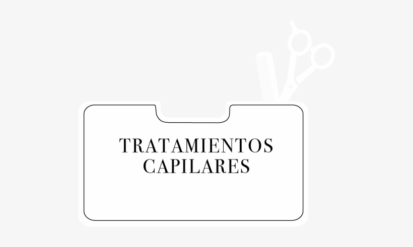 Boton-capilares - Still Life Photography, transparent png download