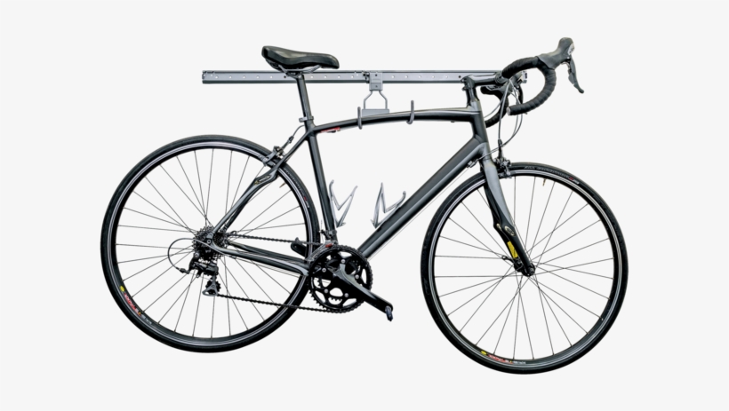 12" Bike Rack And Ladder Hook - Domane Al 2 Women's, transparent png download