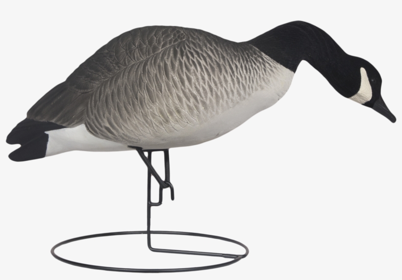 Rugged Full Body Canada Active Feeder Right Side Fully, transparent png download