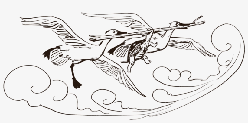 Turtle Geese - Sahtu Press, transparent png download