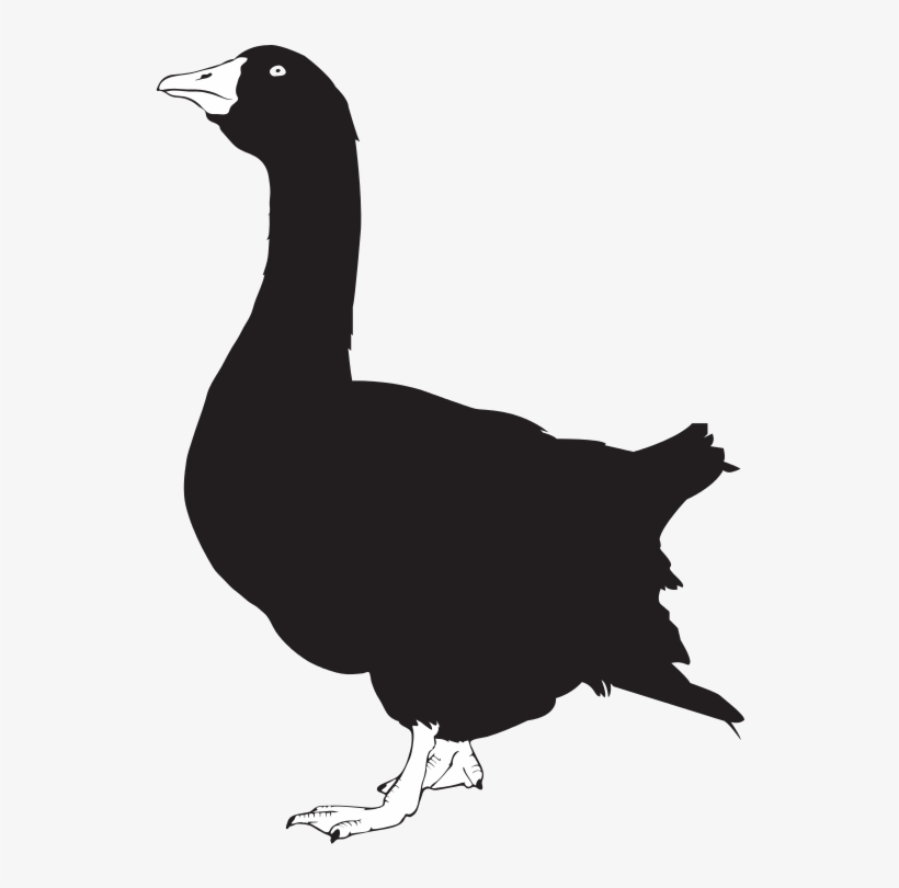 Goose Silhouette - Goose Silhouette Shower Curtain, transparent png download
