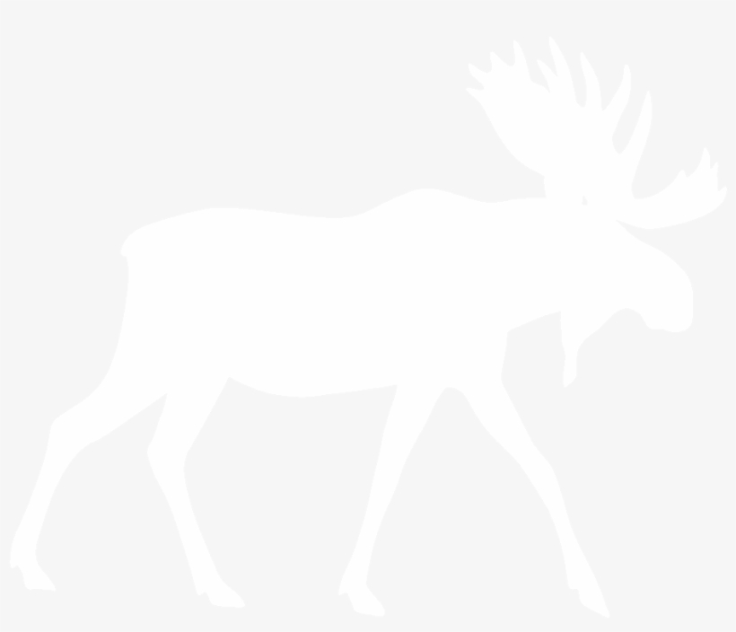 Moose, Elk Png - White Moose Png, transparent png download