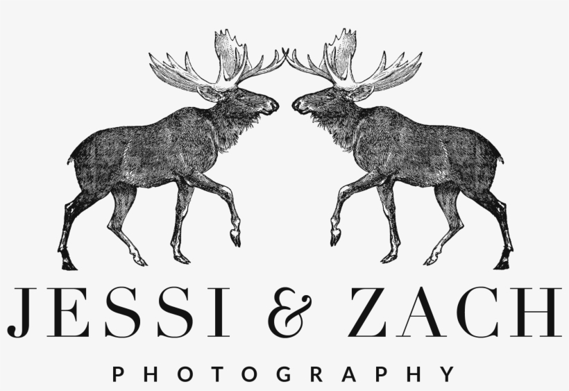 Moose X Moose - Al Ajial Holding, transparent png download