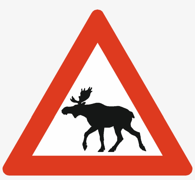 Moose - Bahnübergang Ohne Schranken, transparent png download