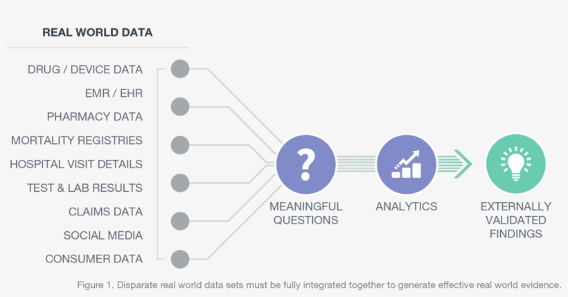 Disparate Real World Data Sets Must Be Fully Integrated - Real World Data, transparent png download